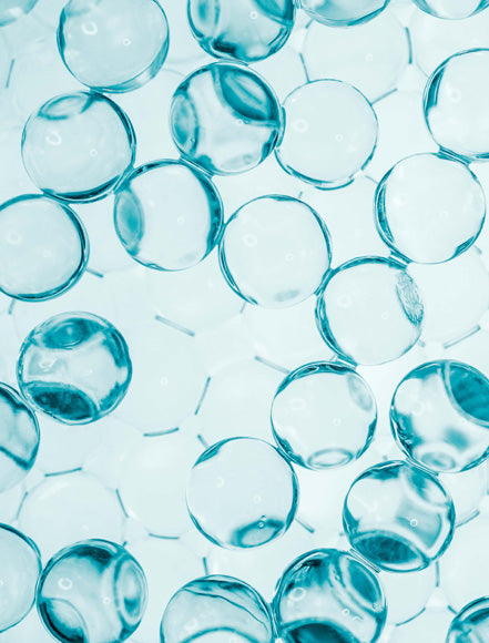 Ceramides