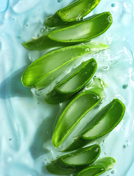 Aloe Vera