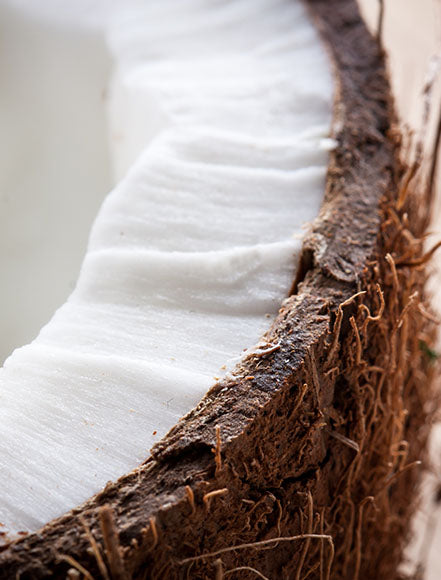 Coconut