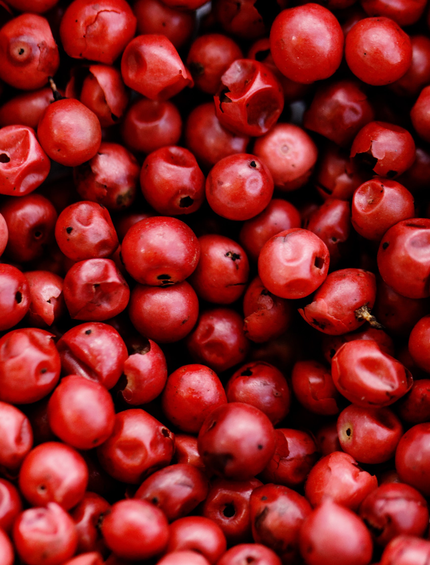 Pink Peppercorn