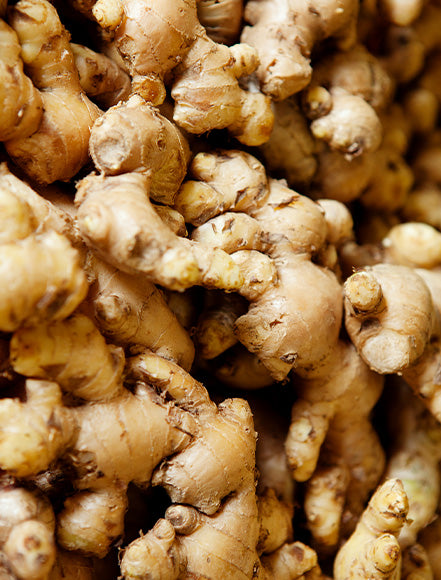 Ginger Root